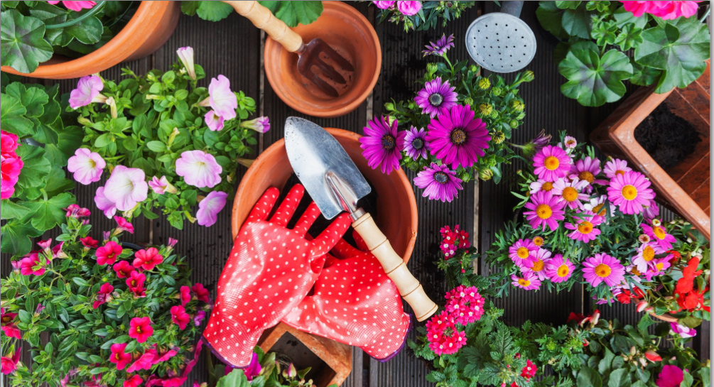 flowers and gardening tools