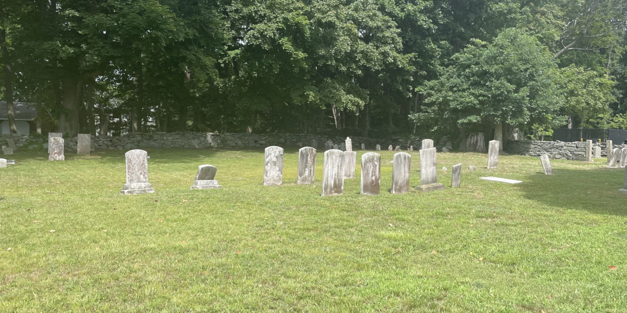Photo of cemetery at Swansea Town Hall