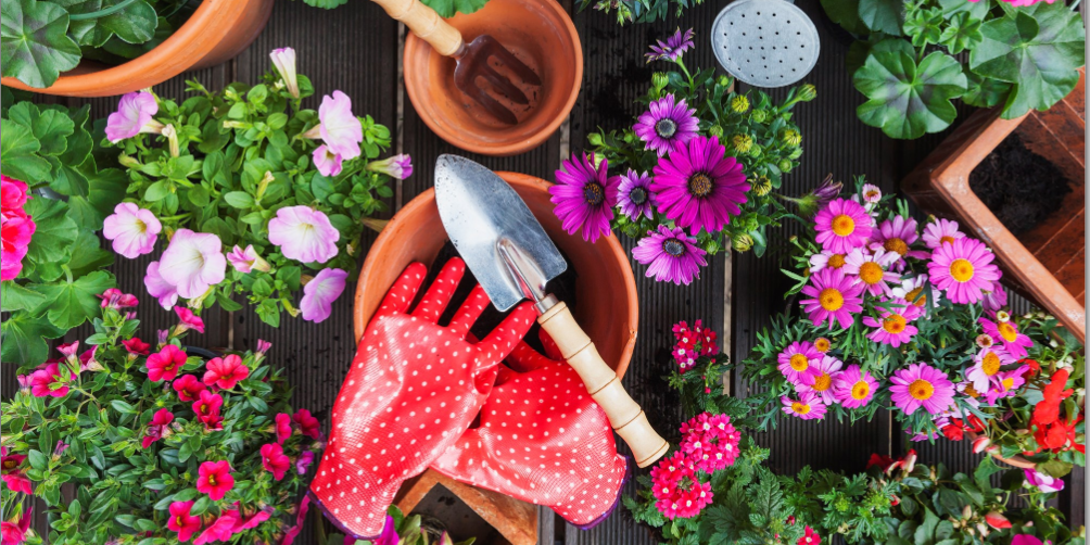 flowers and gardening tools