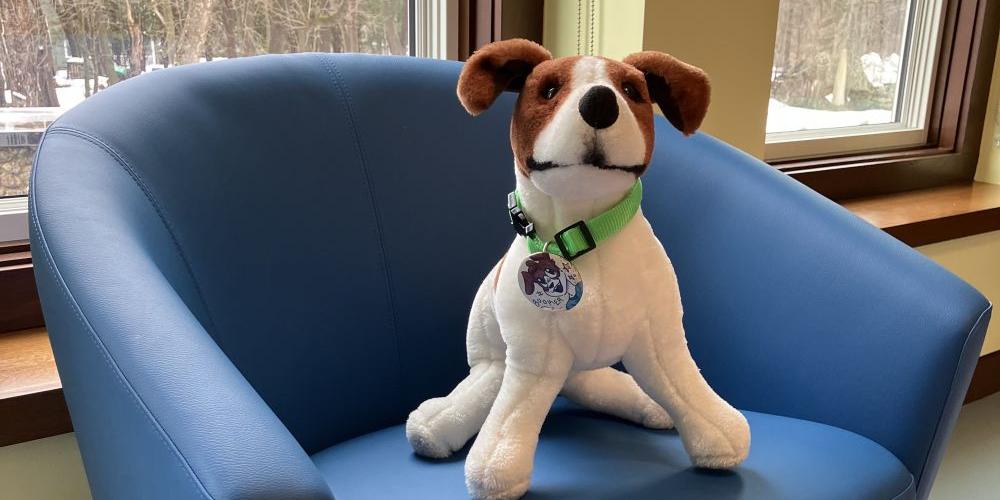stuffed dog on a chair